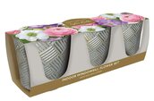 Indoor Windowsill Flower Bulb Trio Set
