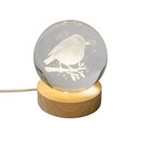 InLit GloBall Robin  FSC1 - image 1