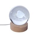 InLit GloBall Robin  FSC1 - image 2