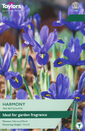 Iris - Harmony (Reticulata) 