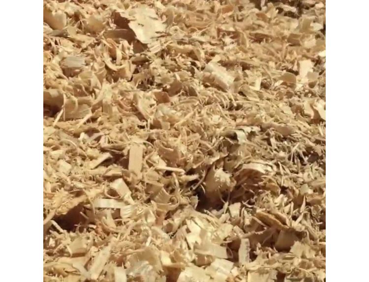 Medium Shavings Bag 2kg