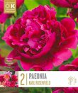 Karl Rosenfield Paeonia
