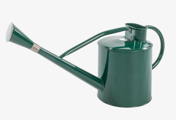 Kent & Stowe Long Reach Metal Water Can - Green 9L
