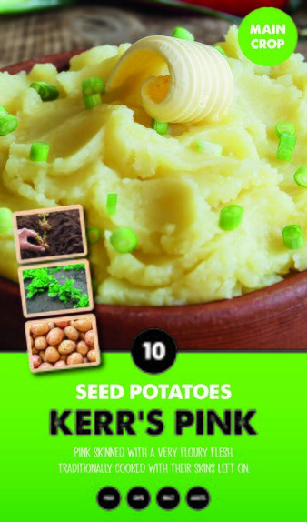 Kerr's Pink Taster Pack