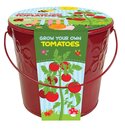 Kids Grow Your Own Tomato