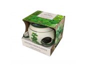 Kitchen Herb Pot