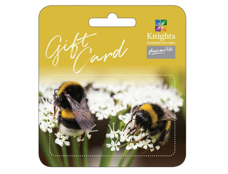 Knights Gift Card Bee £50
