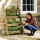 Ladder Planter