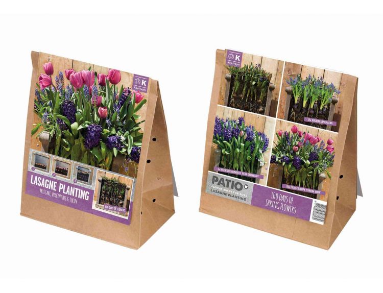 Lasagne Planting Pack Pink-Blue