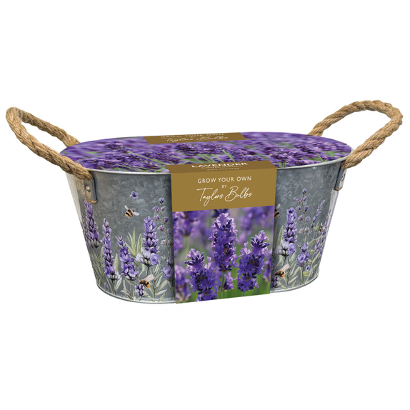 Lavender Zinc Planter 