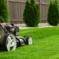 Lawn Care