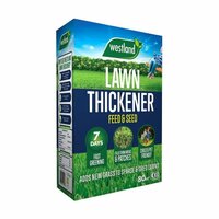 Lawn Seed