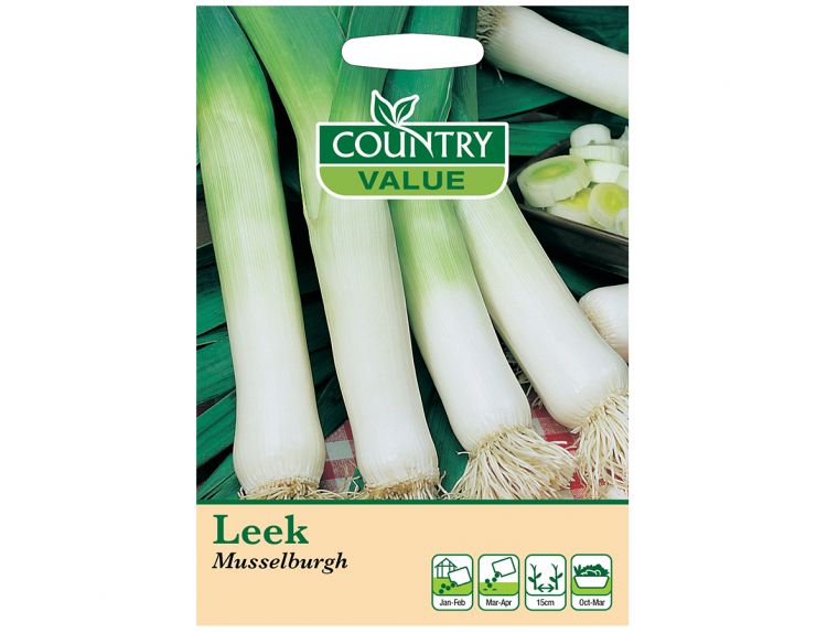 Leek Seeds Musselburgh - image 1