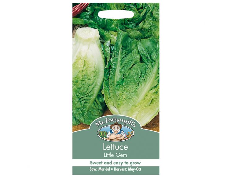 Lettuce Seeds Little Gem - image 1