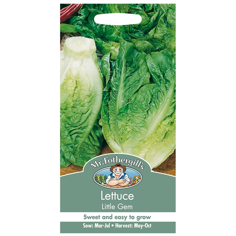 Lettuce Seeds Little Gem Knights Garden Centres