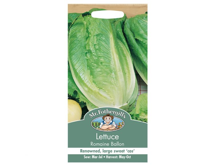 Lettuce Seeds Romaine Ballon - image 1