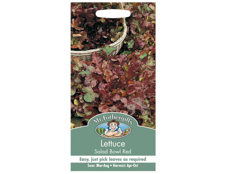 Lettuce Seeds Salad Bowl Red - image 1