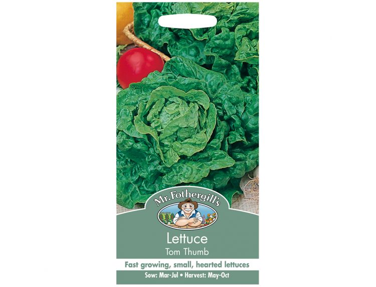 Lettuce Seeds Tom Thumb - image 1