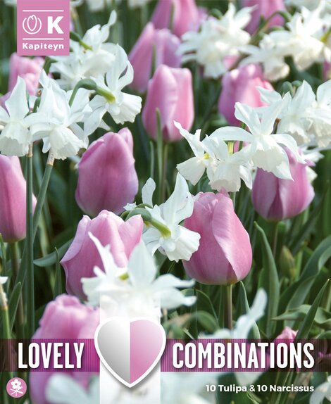 Lovely Combinations Tulip Pink & Narcissus White