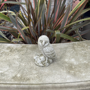 Melmar Stone Little Owl - Sherwood