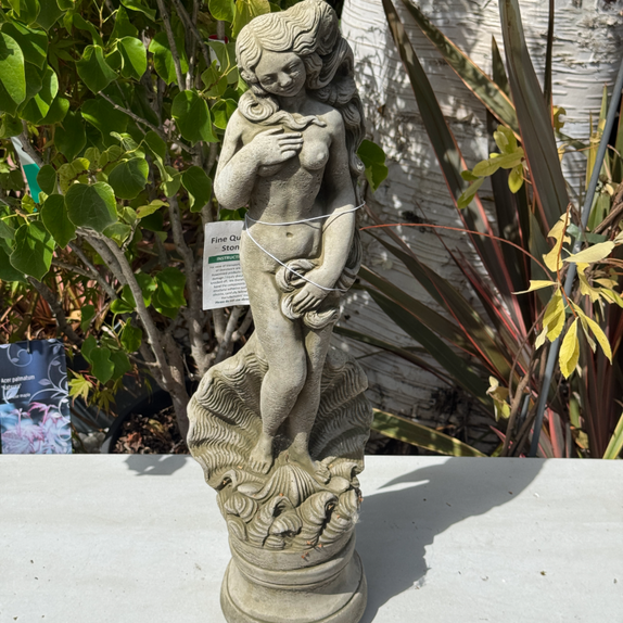 Melmar Stone Shell Girl Small - Sherwood