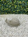 Melmar Stone Snail - Sherwood - image 2