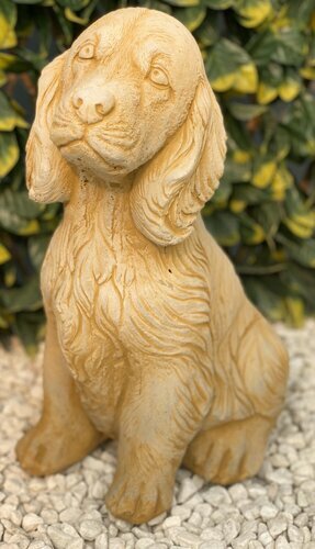 Melmar Stone Spaniel - Sandstone
