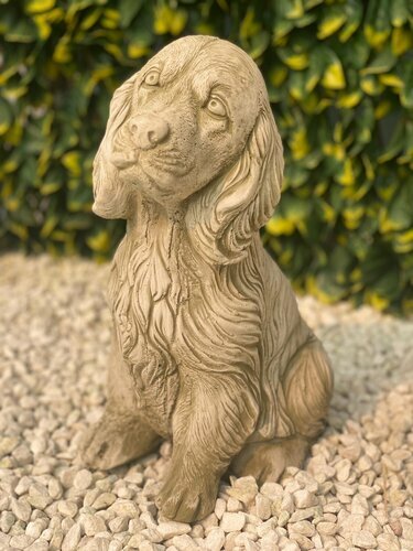 Melmar Stone Spaniel - Sherwood
