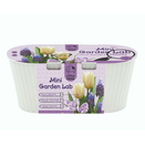 Mini Garden Lab - Crocus Purple