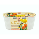 Mini Garden Lab - Fritillaria Orange