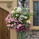 Mini Starter Collection Pack Bridal Bouquet - image 2