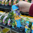 Mini Starter Collection Pack Seaside Fun