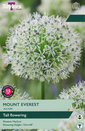 Mount Everest - Allium