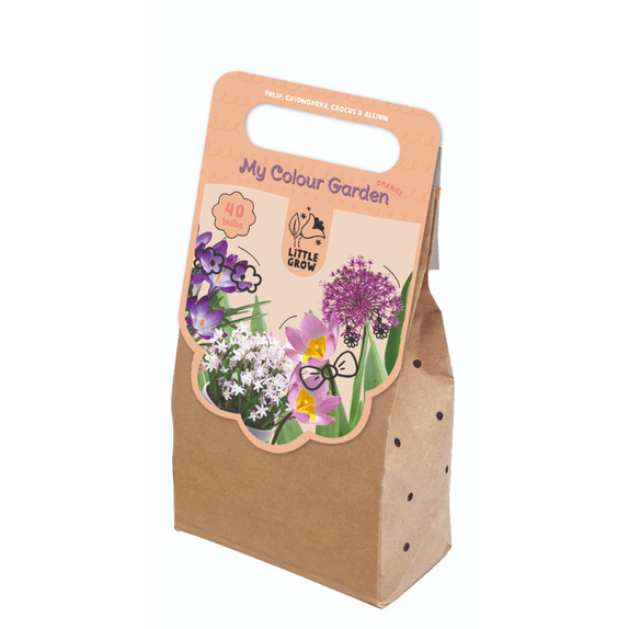 My Colour Garden - Purple