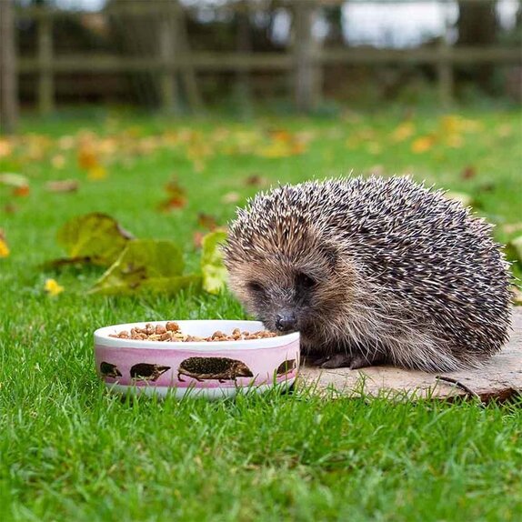Myrte Hedgehog Bowl