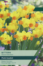 Narcissi - Bittern