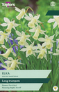 Narcissi - Elka