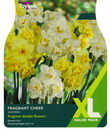 Narcissi - Fragrant Cheer