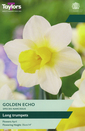 Narcissi - Golden Echo