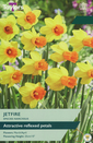 Narcissi - Jetfire