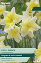 Narcissi - Prom Dance