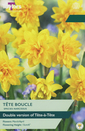 Narcissi - Tete Boucle 