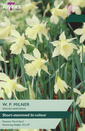 Narcissi - W.P. Milner