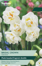 Narcissus - Bridal Crown Daffodil