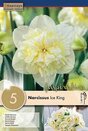 Narcissus Double Ice King