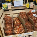 Narcissus Golden Ducat 1kg Net