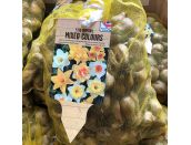 Narcissus Mixed Colours 5kg