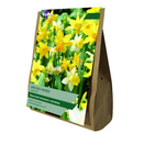 Narcissus - Mixed Value Bag 