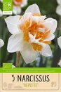 Narcissus - Replete Double