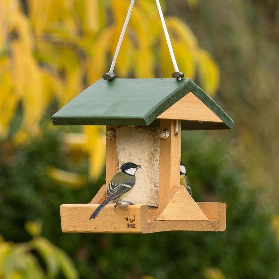 Buy Premium Suet Feeder online from Living with Birds